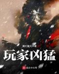 玩家凶猛小说全文免费阅读