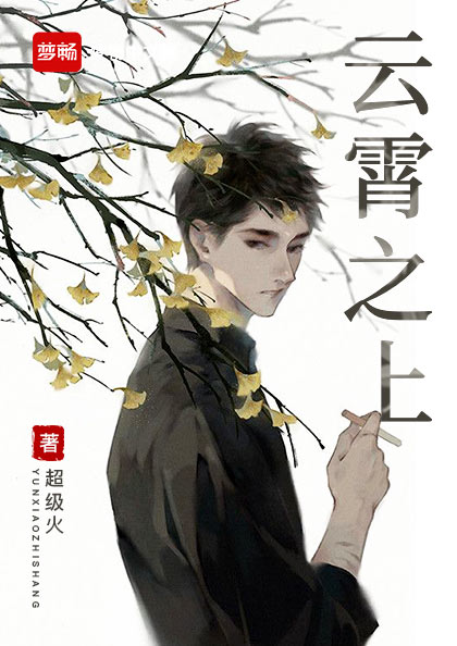 凌云小说林