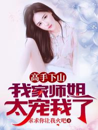 男主角叶北辰的小说