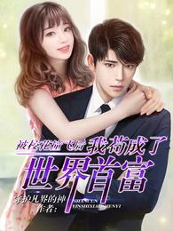 豪婿陈凡小说
