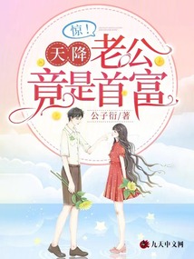 许南歌霍北宴小说无弹窗