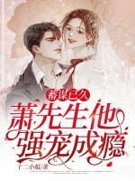 苏曼和凌萧堔小说