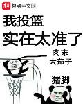 我投篮实在太准了笔趣阁无弹窗